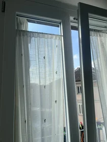 Gesamte Unterkunft in der Lungo Dora Firenze 107, bild 14 von 24