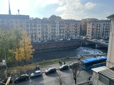 Gesamte Unterkunft in der Lungo Dora Firenze 107, bild 16 von 24