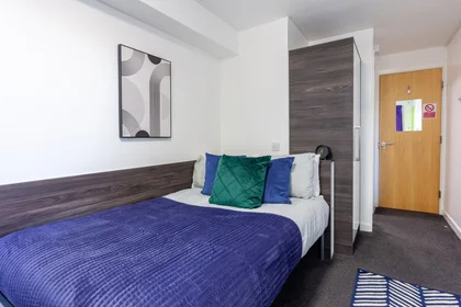 Privatzimmer in der Paddington Park House Liverpool L7 3RG, bild 6 von 11