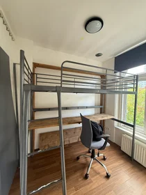 Stanza privata in Anna Paulownastraat, immagine 1 di 2
