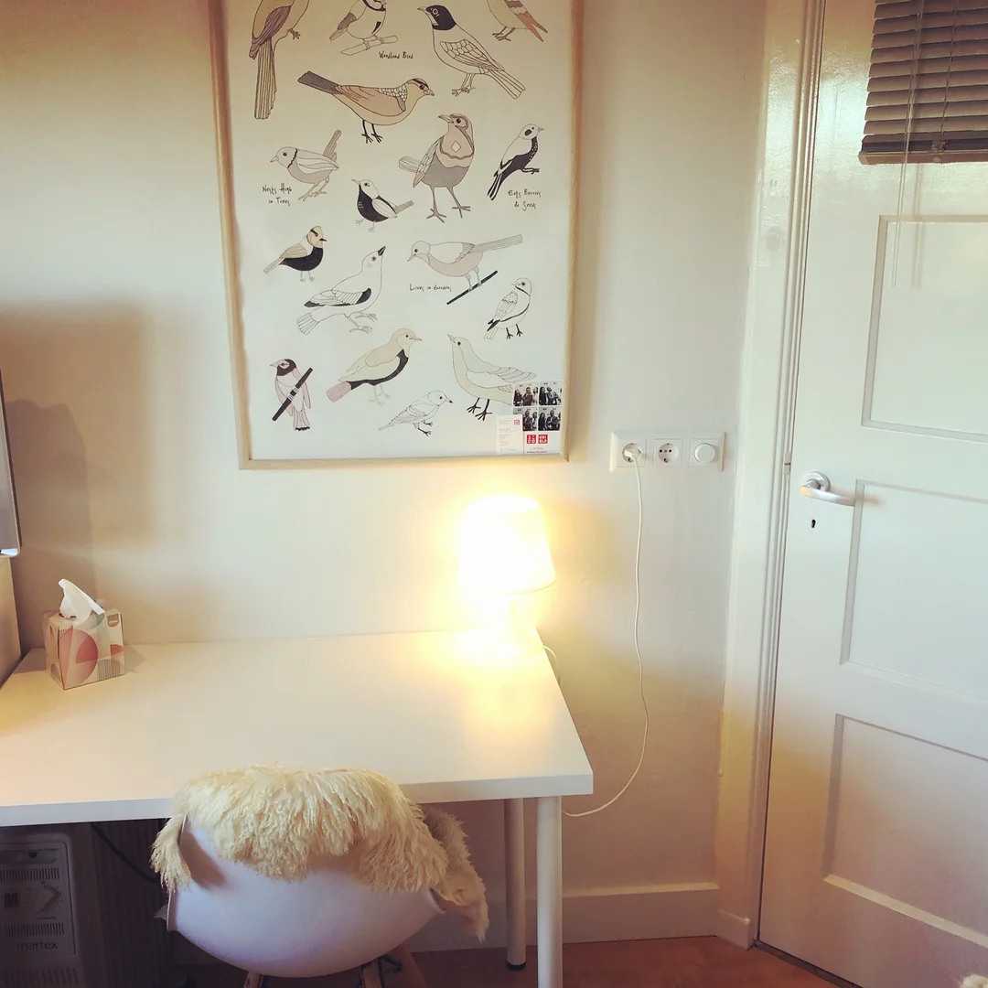 Budget-friendly student room close to campus in 