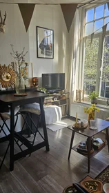 Chambre privée à Anna Paulownastraat, image 1 de 7