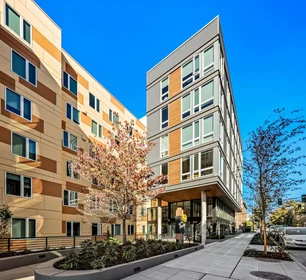 Stanza privata in 15th Avenue Northeast, immagine 22 di 48