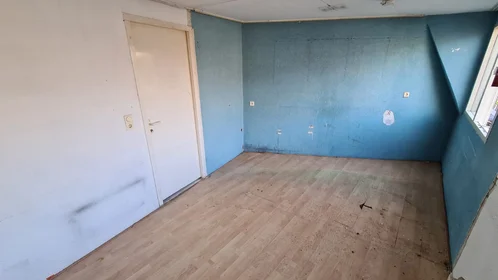 Private room at 2e Spechtstraat, image 1 of 9