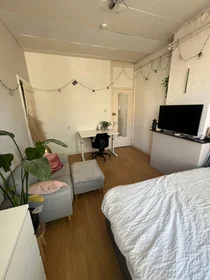 Private room at Wenckebachstraat, image 2 of 9