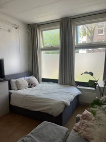 Private room at Wenckebachstraat, image 5 of 9