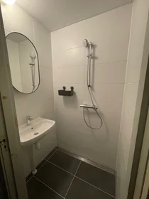 Private room at Wenckebachstraat, image 6 of 9