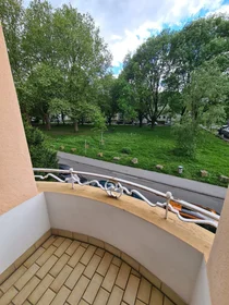 单间公寓 在 Plauener Straße, 16的图像15
