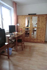 单间公寓 在 Plauener Straße, 16的图像6