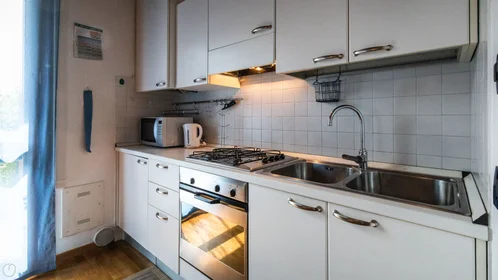 Stanza privata in Via Galileo Galilei, 41, immagine 20 di 32