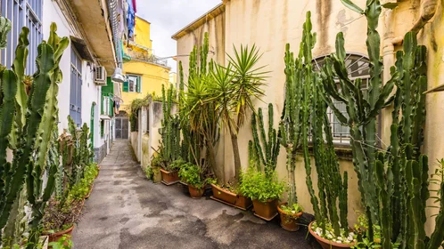Logement entier à Corso Vittorio Emanuele, 544, image 21 de 49