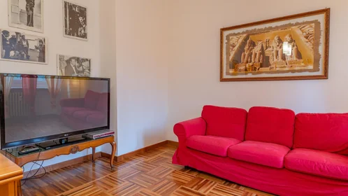 Chambre privée à Lungo Po Alessandro Antonelli, 211, image 1 de 10