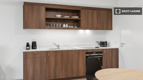 Studio in der Antwerpse Steenweg, bild 6 von 19