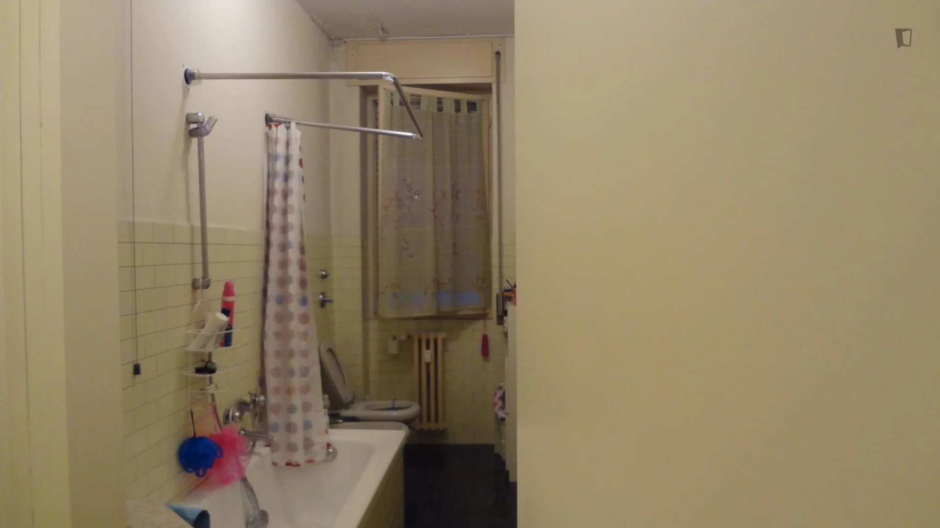 Budget-friendly student room close to campus in 