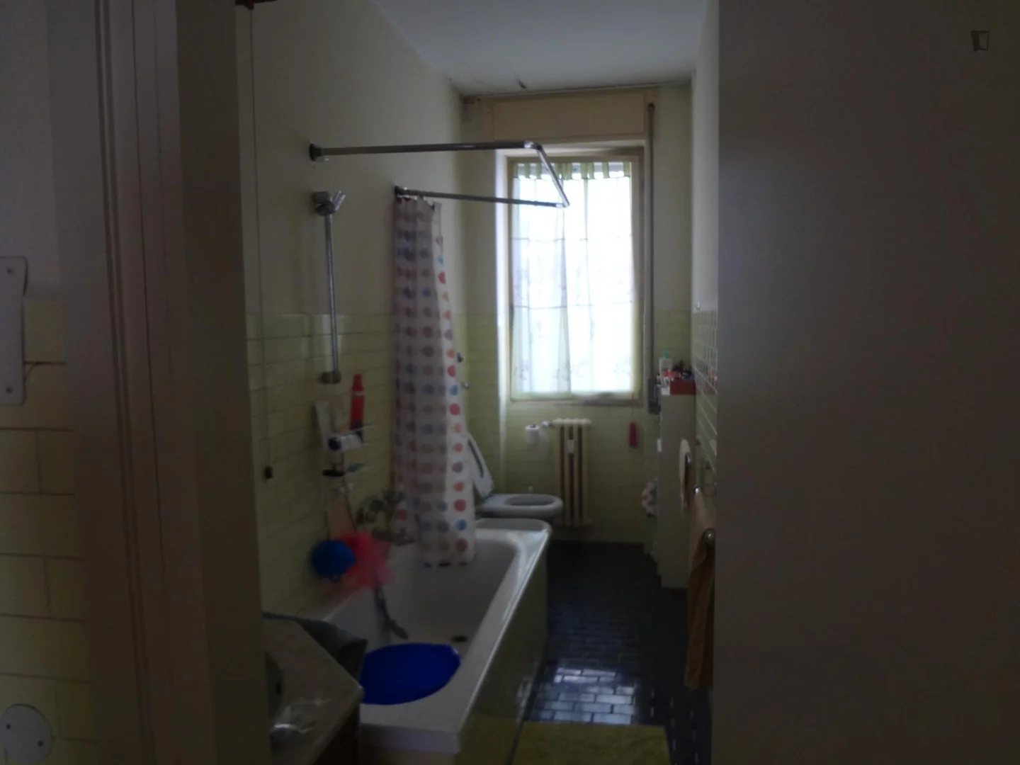 Budget-friendly student room close to campus in 
