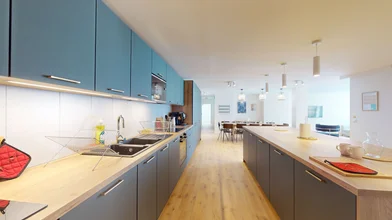 Chambre privée à 94 Rue de la Liberté, 92150, Suresnes, FR, image 16 de 17