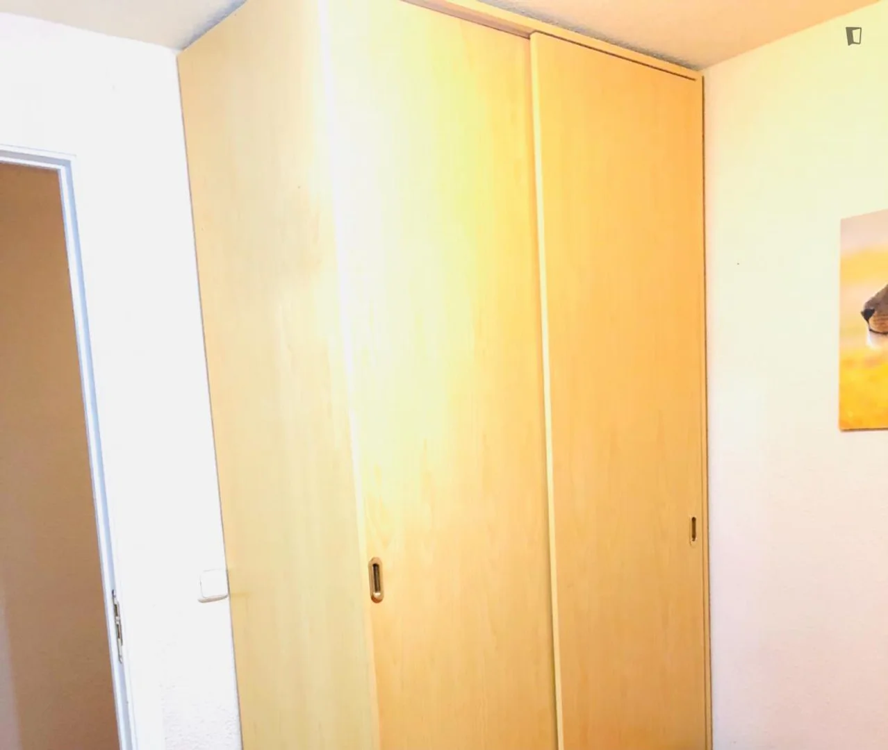 Quarto acessível para estudantes com iluminação ampla em 