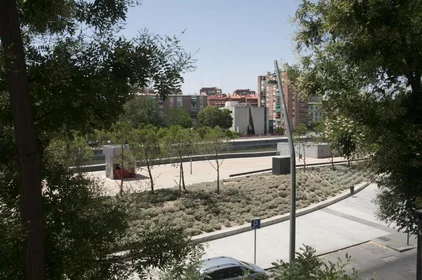 Habitación privada en Paseo de la Virgen del Puerto, imagen 13 de 15
