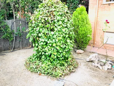 Quarto privado em calle Roncesvalles Villanueva de la Cañada, imagem 19 de 32