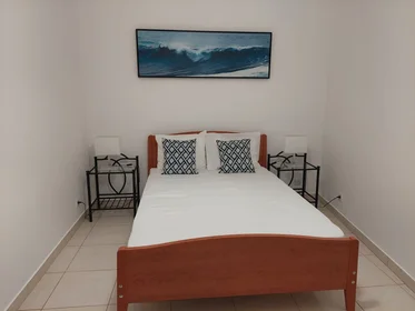 Modern and bright flat in {area}