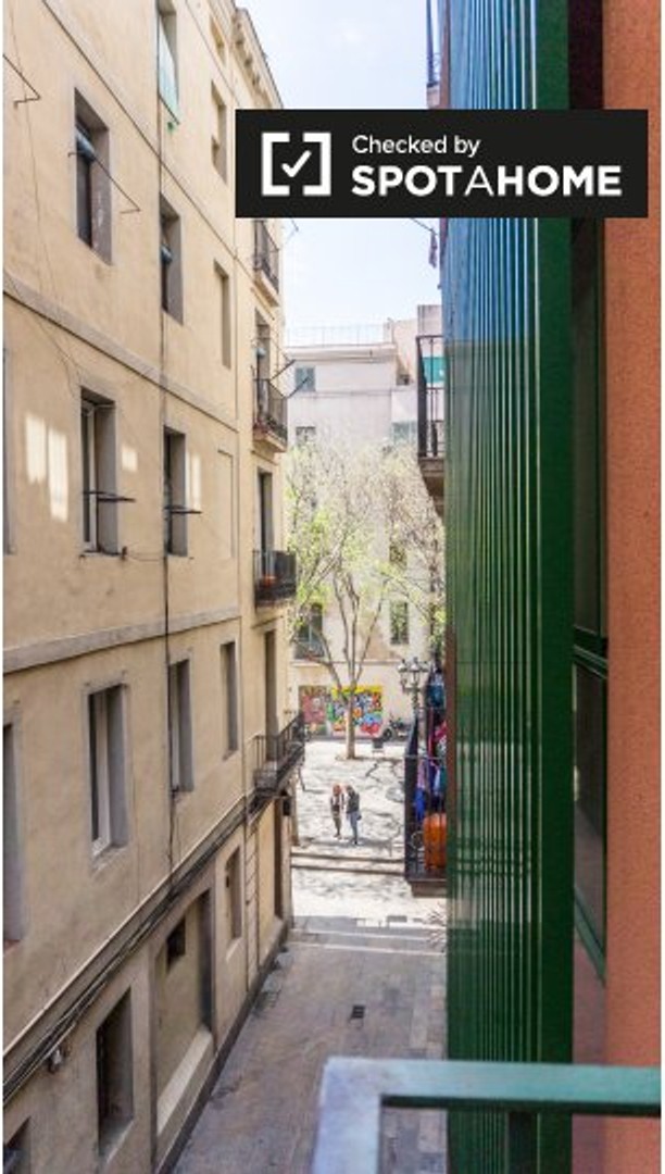 Furnished studio in Barcelona