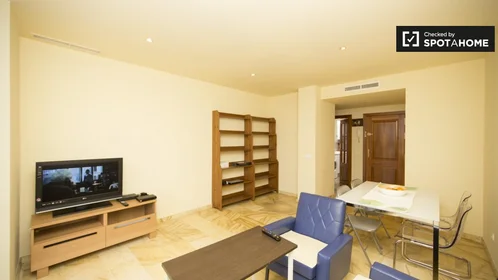 Apartamento inteiro em Calle de José Maria Pemán, imagem 4 de 19