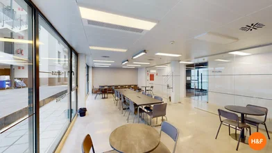 Shared room at C/ Alicante, 107, 03690 Sant Vicent del Raspeig, Alicante, España, image 5 of 8