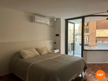 Całe miejsce Francisco N de Laprida, Córdoba, Argentina, obraz 1 8