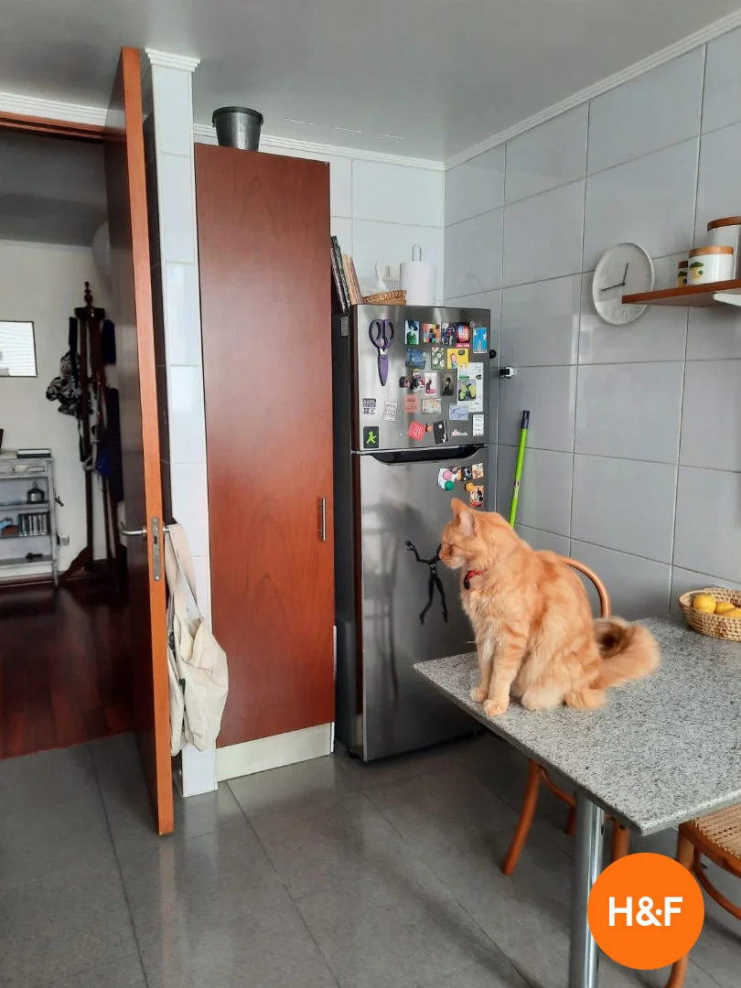 Quarto acolhedor para estudantes disponível em 