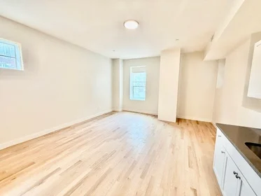 Stüdyo daire Ikamet yerinde konumu 204, Hanover, Unit 2R, North End, Boston, MA, 02113, 1 11 görüntüsü