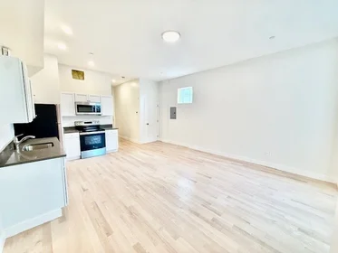 Stüdyo daire Ikamet yerinde konumu 204, Hanover, Unit 2R, North End, Boston, MA, 02113, 11 11 görüntüsü