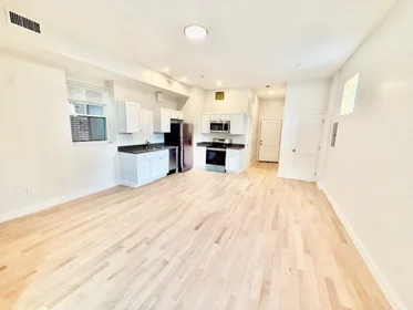 Stüdyo daire Ikamet yerinde konumu 204, Hanover, Unit 2R, North End, Boston, MA, 02113, 4 11 görüntüsü