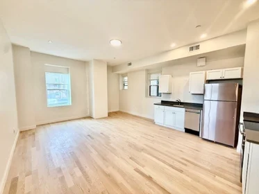 Stüdyo daire Ikamet yerinde konumu 204, Hanover, Unit 2R, North End, Boston, MA, 02113, 5 11 görüntüsü