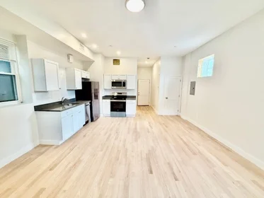 Stüdyo daire Ikamet yerinde konumu 204, Hanover, Unit 2R, North End, Boston, MA, 02113, 10 11 görüntüsü