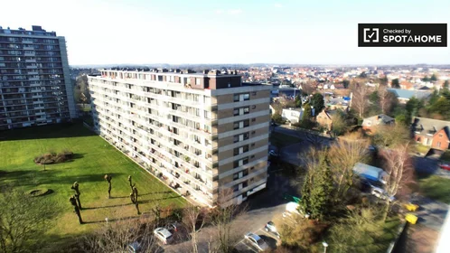 Entire apartment at Avenue Mutsaard, image 11 of 19