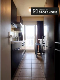 Entire apartment at Avenue Mutsaard, image 14 of 19