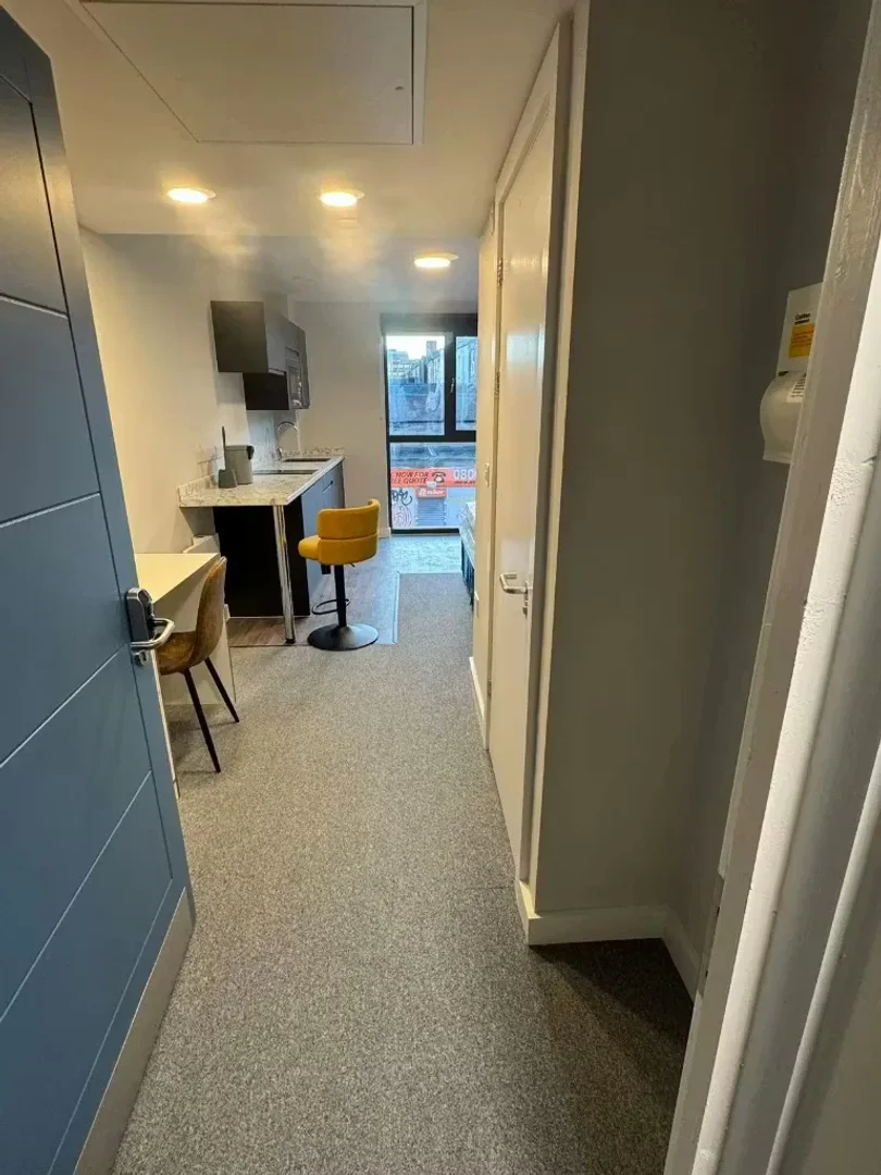 Chambre à louer dans un appartement d'étudiant à , entièrement meublée