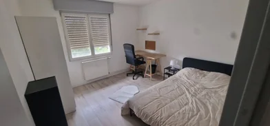 Privatzimmer in der Mulhouse, 68200, bild 9 von 15