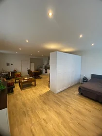 Monolocale in Meester Ulrichweg, immagine 1 di 6