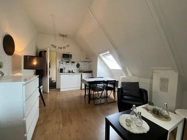 Habitación privada en Westersingel, imagen 1 de 6