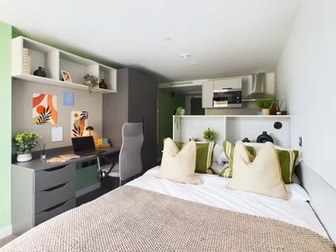 Studio im Wohnheim in der 1 Frederick St, Belfast BT1 2LW, United Kingdom, bild 5 von 36