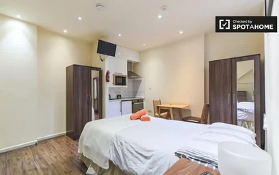 Stüdyo daire konumu Ashmore Rd, 3 9 görüntüsü