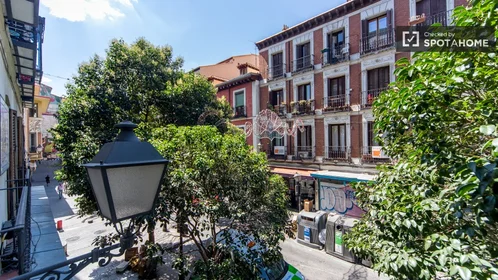 Private room at Calle de Embajadores, image 11 of 19