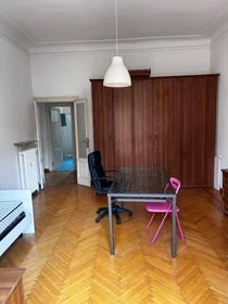 Stanza privata in Via Giuseppe Piolti de Bianchi, immagine 1 di 10