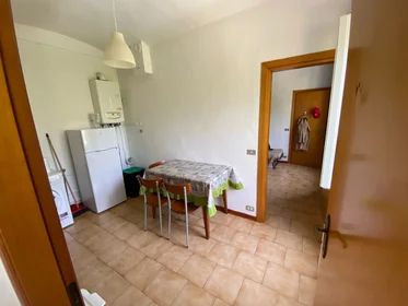 Mehrbettzimmer in der Via Nonantolana 262, bild 8 von 8