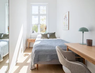 Stanza privata in Seilduksgata, Grünerløkka, immagine 1 di 10