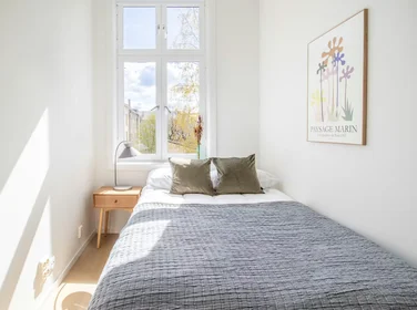 Chambre privée à Seilduksgata, Grünerløkka, image 2 de 10