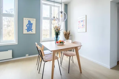 Chambre privée à Seilduksgata, Grünerløkka, image 8 de 10