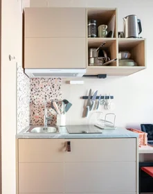 Appartamento intero in Steenstrups gate, Grünerløkka, immagine 6 di 10