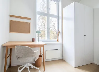 Privatzimmer in der Seilduksgata, Grünerløkka, bild 1 von 10
